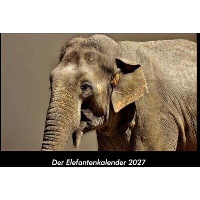 Becker Der Elefantenkalender 2027 Fotokalender DIN A3: Monatskalender mit Bild-Motiven von Haustieren, Bauernhof, wilden Tieren und Raubtieren Becker Der Elefantenkalender 2027 Fotokalender DIN A3: Monatskalender mit Bild-Motiven von Haustieren, Bauernhof, wilden Tieren und Raubtieren