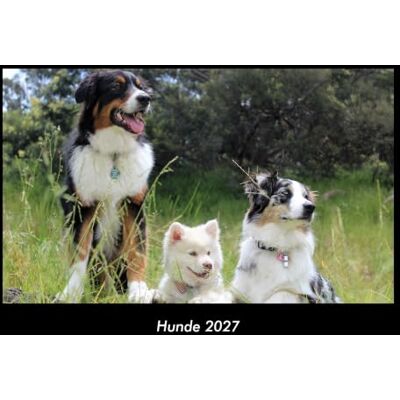 Becker Hunde 2027 Fotokalender DIN A3: Monatskalender mit Bild-Motiven von Haustieren, Bauernhof, wilden Tieren und Raubtieren Becker Hunde 2027 Fotokalender DIN A3: Monatskalender mit Bild-Motiven von Haustieren, Bauernhof, wilden Tieren und Raubtieren