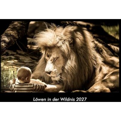 Becker Löwen in der Wildnis 2027 Fotokalender DIN A3: Monatskalender mit Bild-Motiven von Haustieren, Bauernhof, wilden Tieren und Raubtieren Becker Löwen in der Wildnis 2027 Fotokalender DIN A3: Monatskalender mit Bild-Motiven von Haustieren, Bauernhof, wilden Tieren und Raubtieren