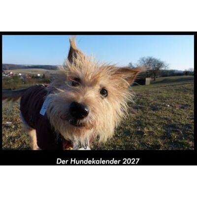 Becker Der Hundekalender 2027 Fotokalender DIN A3: Monatskalender mit Bild-Motiven von Haustieren, Bauernhof, wilden Tieren und Raubtieren Becker Der Hundekalender 2027 Fotokalender DIN A3: Monatskalender mit Bild-Motiven von Haustieren, Bauernhof, wilden Tieren und Raubtieren