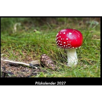 Becker Pilzkalender 2027 Fotokalender DIN A3: Monatskalender mit Bild-Motiven aus Fauna und Flora, Natur, Blumen und Pflanzen Becker Pilzkalender 2027 Fotokalender DIN A3: Monatskalender mit Bild-Motiven aus Fauna und Flora, Natur, Blumen und Pflanzen