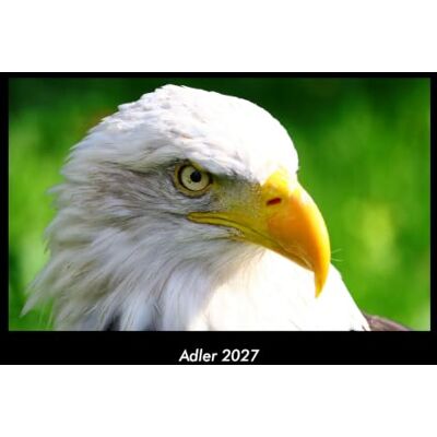 Becker Adler 2027 Fotokalender DIN A3: Monatskalender mit Bild-Motiven von Haustieren, Bauernhof, wilden Tieren und Raubtieren Becker Adler 2027 Fotokalender DIN A3: Monatskalender mit Bild-Motiven von Haustieren, Bauernhof, wilden Tieren und Raubtieren