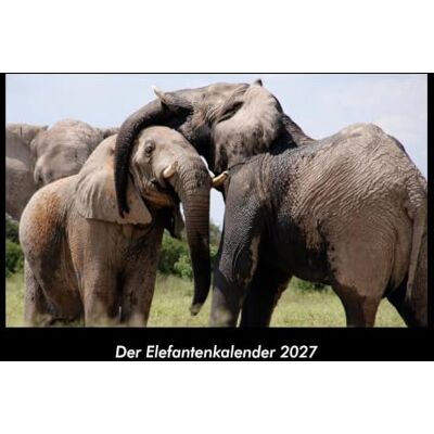 Becker Der Elefantenkalender 2027 Fotokalender DIN A3: Monatskalender mit Bild-Motiven von Haustieren, Bauernhof, wilden Tieren und Raubtieren Becker Der Elefantenkalender 2027 Fotokalender DIN A3: Monatskalender mit Bild-Motiven von Haustieren, Bauernhof, wilden Tieren und Raubtieren
