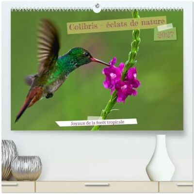 Zydek, Anzy-fotografie andreas Colibris éclats de nature (Calendrier mural 2027 DIN A2 vertical) calendrier de bureau: Joyaux de la forêt tropicale Zydek, Anzy-fotografie andreas Colibris éclats de nature (Calendrier mural 2027 DIN A2 vertical) calendrier de bureau: Joyaux de la forêt tropicale