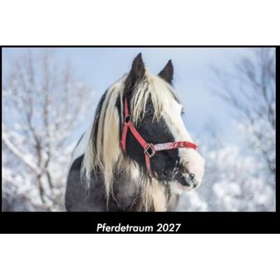 Becker Pferdetraum 2027 Fotokalender DIN A3: Monatskalender mit Bild-Motiven von Haustieren, Bauernhof, wilden Tieren und Raubtieren Becker Pferdetraum 2027 Fotokalender DIN A3: Monatskalender mit Bild-Motiven von Haustieren, Bauernhof, wilden Tieren und Raubtieren