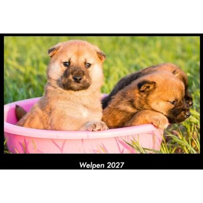 Becker Welpen 2027 Fotokalender DIN A3: Monatskalender mit Bild-Motiven von Haustieren, Bauernhof, wilden Tieren und Raubtieren Becker Welpen 2027 Fotokalender DIN A3: Monatskalender mit Bild-Motiven von Haustieren, Bauernhof, wilden Tieren und Raubtieren