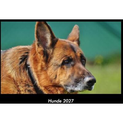 Becker Hunde 2027 Fotokalender DIN A3: Monatskalender mit Bild-Motiven von Haustieren, Bauernhof, wilden Tieren und Raubtieren Becker Hunde 2027 Fotokalender DIN A3: Monatskalender mit Bild-Motiven von Haustieren, Bauernhof, wilden Tieren und Raubtieren