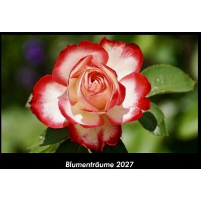 Becker Blumenträume 2027 Fotokalender DIN A3: Monatskalender mit Bild-Motiven aus Fauna und Flora, Natur, Blumen und Pflanzen Becker Blumenträume 2027 Fotokalender DIN A3: Monatskalender mit Bild-Motiven aus Fauna und Flora, Natur, Blumen und Pflanzen