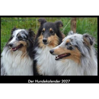 Becker Der Hundekalender 2027 Fotokalender DIN A3: Monatskalender mit Bild-Motiven von Haustieren, Bauernhof, wilden Tieren und Raubtieren Becker Der Hundekalender 2027 Fotokalender DIN A3: Monatskalender mit Bild-Motiven von Haustieren, Bauernhof, wilden Tieren und Raubtieren