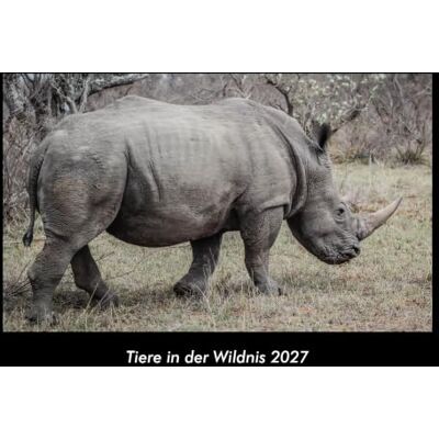 Becker Tiere in der Wildnis 2027 Fotokalender DIN A3: Monatskalender mit Bild-Motiven von Haustieren, Bauernhof, wilden Tieren und Raubtieren Becker Tiere in der Wildnis 2027 Fotokalender DIN A3: Monatskalender mit Bild-Motiven von Haustieren, Bauernhof, wilden Tieren und Raubtieren