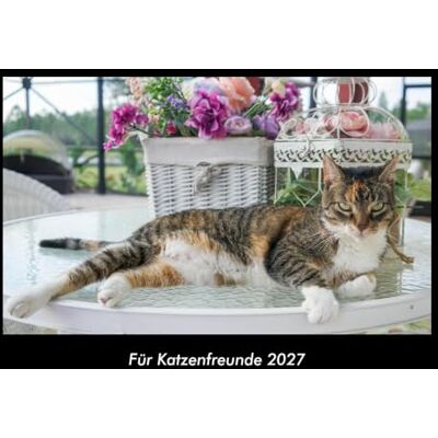 Becker Für Katzenfreunde 2027 Fotokalender DIN A3: Monatskalender mit Bild-Motiven von Haustieren, Bauernhof, wilden Tieren und Raubtieren Becker Für Katzenfreunde 2027 Fotokalender DIN A3: Monatskalender mit Bild-Motiven von Haustieren, Bauernhof, wilden Tieren und Raubtieren