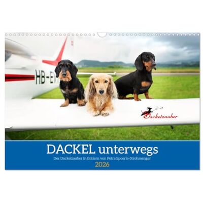 CALVENDO Dachshund unterwegs (Wandkalender 2026 DIN A3 horizontal), Menskalender: Dachshund auf Reisen zu Landde, zu Wasser und in der Luft! ( Tiere) CALVENDO Dachshund unterwegs (Wandkalender 2026 DIN A3 horizontal), Menskalender: Dachshund auf Reisen zu Landde, zu Wasser und in der Luft! ( Tiere)