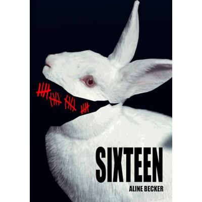 Becker Sixteen (Moulin) Becker Sixteen (Moulin)