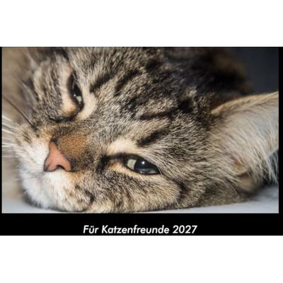 Becker Für Katzenfreunde 2027 Fotokalender DIN A3: Monatskalender mit Bild-Motiven von Haustieren, Bauernhof, wilden Tieren und Raubtieren Becker Für Katzenfreunde 2027 Fotokalender DIN A3: Monatskalender mit Bild-Motiven von Haustieren, Bauernhof, wilden Tieren und Raubtieren