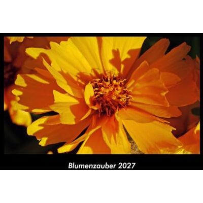 Becker Blumenzauber 2027 Fotokalender DIN A3: Monatskalender mit Bild-Motiven aus Fauna und Flora, Natur, Blumen und Pflanzen Becker Blumenzauber 2027 Fotokalender DIN A3: Monatskalender mit Bild-Motiven aus Fauna und Flora, Natur, Blumen und Pflanzen