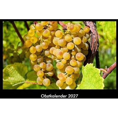 Becker Obstkalender 2027 Fotokalender DIN A3: Monatskalender mit Bild-Motiven von Obst und Gemüse, Ernährung und Essen Becker Obstkalender 2027 Fotokalender DIN A3: Monatskalender mit Bild-Motiven von Obst und Gemüse, Ernährung und Essen