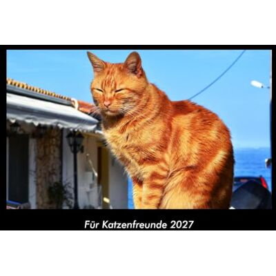 Becker Für Katzenfreunde 2027 Fotokalender DIN A3: Monatskalender mit Bild-Motiven von Haustieren, Bauernhof, wilden Tieren und Raubtieren Becker Für Katzenfreunde 2027 Fotokalender DIN A3: Monatskalender mit Bild-Motiven von Haustieren, Bauernhof, wilden Tieren und Raubtieren