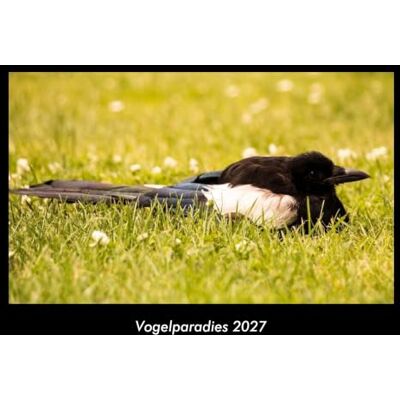 Becker Vogelparadies 2027 Fotokalender DIN A3: Monatskalender mit Bild-Motiven von Haustieren, Bauernhof, wilden Tieren und Raubtieren Becker Vogelparadies 2027 Fotokalender DIN A3: Monatskalender mit Bild-Motiven von Haustieren, Bauernhof, wilden Tieren und Raubtieren