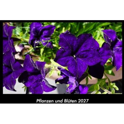 Becker Pflanzen und Blüten 2027 Fotokalender DIN A3: Monatskalender mit Bild-Motiven aus Fauna und Flora, Natur, Blumen und Pflanzen Becker Pflanzen und Blüten 2027 Fotokalender DIN A3: Monatskalender mit Bild-Motiven aus Fauna und Flora, Natur, Blumen und Pflanzen