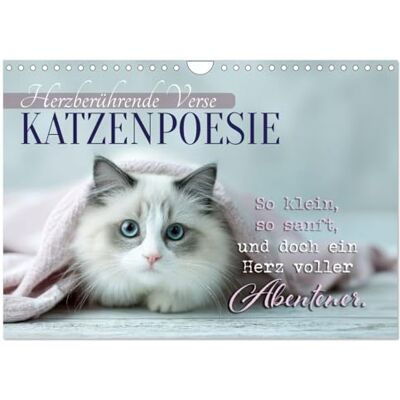 Viola, Melanie Katzenpoesie Herzberührende Verse (Wandkalender 2026 DIN A4 quer), Monatskalender: 12 Sprüche voller Verzauberung Viola, Melanie Katzenpoesie Herzberührende Verse (Wandkalender 2026 DIN A4 quer), Monatskalender: 12 Sprüche voller Verzauberung