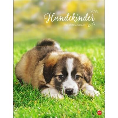 Heye Calendario de póster para niños de perros 2025: por Monika Wegler. Fotos de cachorros para derretir en un calendario de pared. Calendario de póster con retratos de perros para todos los fans de las Heye Calendario de póster para niños de perros 2025: por Monika Wegler. Fotos de cachorros para derretir en un calendario de pared. Calendario de póster con retratos de perros para todos los fans de las