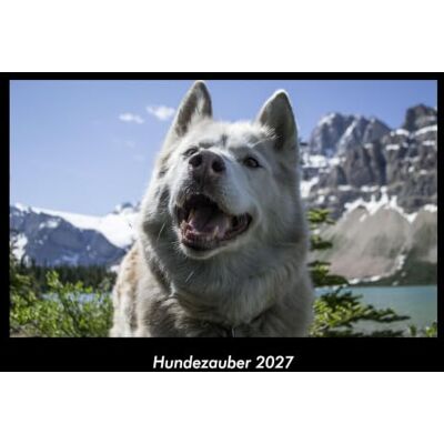 Becker Hundezauber 2027 Fotokalender DIN A3: Monatskalender mit Bild-Motiven von Haustieren, Bauernhof, wilden Tieren und Raubtieren Becker Hundezauber 2027 Fotokalender DIN A3: Monatskalender mit Bild-Motiven von Haustieren, Bauernhof, wilden Tieren und Raubtieren