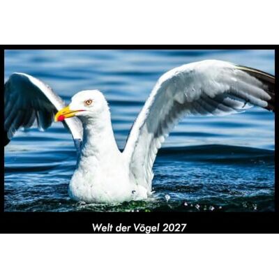 Becker Welt der Vögel 2027 Fotokalender DIN A3: Monatskalender mit Bild-Motiven von Haustieren, Bauernhof, wilden Tieren und Raubtieren Becker Welt der Vögel 2027 Fotokalender DIN A3: Monatskalender mit Bild-Motiven von Haustieren, Bauernhof, wilden Tieren und Raubtieren