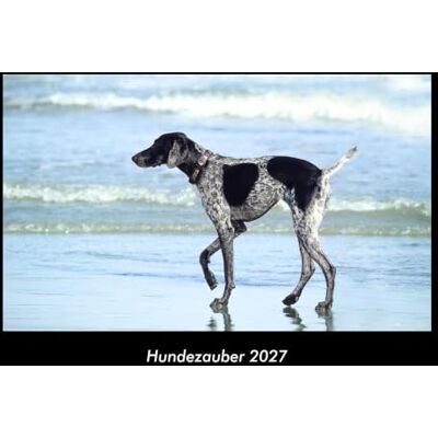 Becker Hundezauber 2027 Fotokalender DIN A3: Monatskalender mit Bild-Motiven von Haustieren, Bauernhof, wilden Tieren und Raubtieren Becker Hundezauber 2027 Fotokalender DIN A3: Monatskalender mit Bild-Motiven von Haustieren, Bauernhof, wilden Tieren und Raubtieren