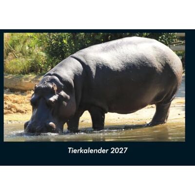 Schmitt, Tobias Tierkalender 2027 Fotokalender DIN A4: Monatskalender mit Bild-Motiven von Haustieren, Bauernhof, wilden Tieren und Raubtieren Schmitt, Tobias Tierkalender 2027 Fotokalender DIN A4: Monatskalender mit Bild-Motiven von Haustieren, Bauernhof, wilden Tieren und Raubtieren