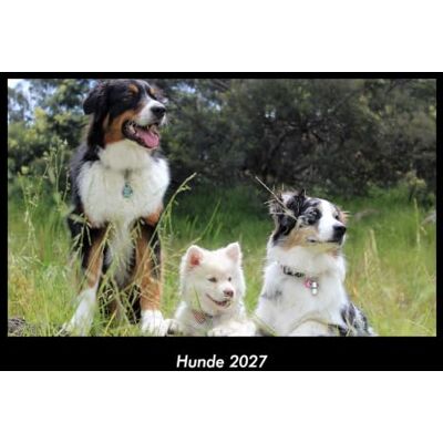 Becker Hunde 2027 Fotokalender DIN A3: Monatskalender mit Bild-Motiven von Haustieren, Bauernhof, wilden Tieren und Raubtieren Becker Hunde 2027 Fotokalender DIN A3: Monatskalender mit Bild-Motiven von Haustieren, Bauernhof, wilden Tieren und Raubtieren
