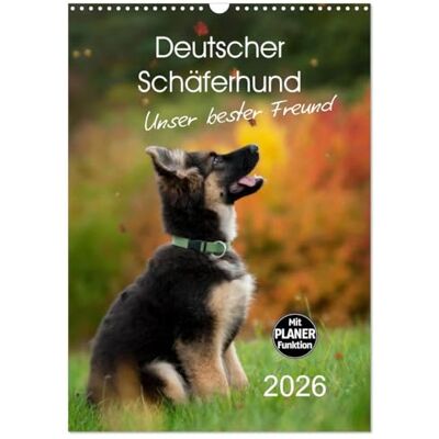 CALVENDO Pastor alemán – Unser beste Freund (Wandkalender 2026 DIN A3 hoch), Monatskalender: Schäferhundwelpen entdecken die Welt ( Tiere) CALVENDO Pastor alemán – Unser beste Freund (Wandkalender 2026 DIN A3 hoch), Monatskalender: Schäferhundwelpen entdecken die Welt ( Tiere)