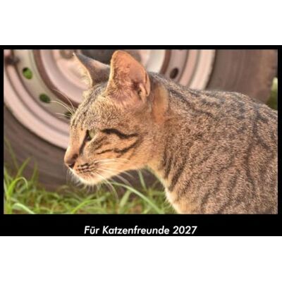 Becker Für Katzenfreunde 2027 Fotokalender DIN A3: Monatskalender mit Bild-Motiven von Haustieren, Bauernhof, wilden Tieren und Raubtieren Becker Für Katzenfreunde 2027 Fotokalender DIN A3: Monatskalender mit Bild-Motiven von Haustieren, Bauernhof, wilden Tieren und Raubtieren