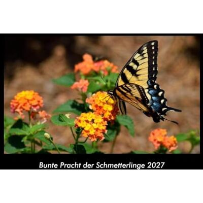 Becker Bunte Pracht der Schmetterlinge 2027 Fotokalender DIN A3: Monatskalender mit Bild-Motiven von Haustieren, Bauernhof, wilden Tieren und Raubtieren Becker Bunte Pracht der Schmetterlinge 2027 Fotokalender DIN A3: Monatskalender mit Bild-Motiven von Haustieren, Bauernhof, wilden Tieren und Raubtieren
