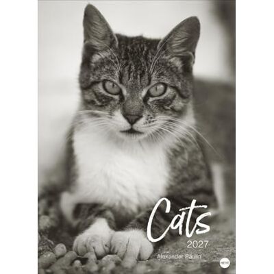 Heye Cats Edition Kalender 2027: Elegante Samtpfoten in schwarz-weiß in einem XXL-Kalender. Tierkalender 2027 im Großformat. Hochwertiger großer Fotokalender für Katzenfans. Heye Cats Edition Kalender 2027: Elegante Samtpfoten in schwarz-weiß in einem XXL-Kalender. Tierkalender 2027 im Großformat. Hochwertiger großer Fotokalender für Katzenfans.