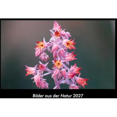 Becker Bilder aus der Natur 2027 Fotokalender DIN A3: Monatskalender mit Bild-Motiven aus Fauna und Flora, Natur, Blumen und Pflanzen Becker Bilder aus der Natur 2027 Fotokalender DIN A3: Monatskalender mit Bild-Motiven aus Fauna und Flora, Natur, Blumen und Pflanzen