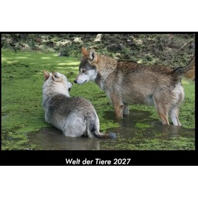 Becker Welt der Tiere 2027 Fotokalender DIN A3: Monatskalender mit Bild-Motiven von Haustieren, Bauernhof, wilden Tieren und Raubtieren Becker Welt der Tiere 2027 Fotokalender DIN A3: Monatskalender mit Bild-Motiven von Haustieren, Bauernhof, wilden Tieren und Raubtieren