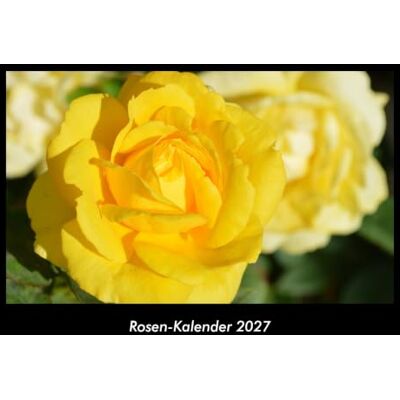 Becker Rosen-Kalender 2027 Fotokalender DIN A3: Monatskalender mit Bild-Motiven aus Fauna und Flora, Natur, Blumen und Pflanzen Becker Rosen-Kalender 2027 Fotokalender DIN A3: Monatskalender mit Bild-Motiven aus Fauna und Flora, Natur, Blumen und Pflanzen
