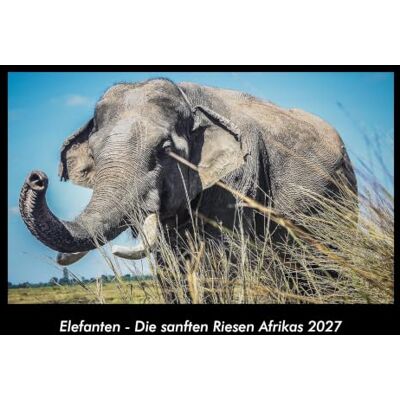 Becker Elefanten Die sanften Riesen Afrikas 2027 Fotokalender DIN A3: Monatskalender mit Bild-Motiven von Haustieren, Bauernhof, wilden Tieren und Raubtieren Becker Elefanten Die sanften Riesen Afrikas 2027 Fotokalender DIN A3: Monatskalender mit Bild-Motiven von Haustieren, Bauernhof, wilden Tieren und Raubtieren
