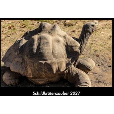 Becker Schildkrötenzauber 2027 Fotokalender DIN A3: Monatskalender mit Bild-Motiven aus Fauna und Flora, Natur, Blumen und Pflanzen Becker Schildkrötenzauber 2027 Fotokalender DIN A3: Monatskalender mit Bild-Motiven aus Fauna und Flora, Natur, Blumen und Pflanzen