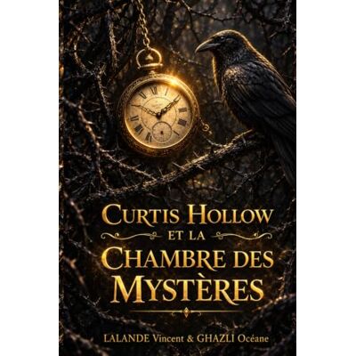 Vincent Curtis Hollow: et la Chambre des Mystère Vincent Curtis Hollow: et la Chambre des Mystère
