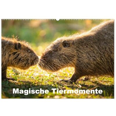 Mann, Luca Magische Tiermomente (Wandkalender 2026 DIN A2 quer), Monatskalender: Faszinierende Tieraufnahmen aus Schweden, Deutschland und Mauritius: ... der Tierwelt in stimmungsvollen Bildern. Mann, Luca Magische Tiermomente (Wandkalender 2026 DIN A2 quer), Monatskalender: Faszinierende Tieraufnahmen aus Schweden, Deutschland und Mauritius: ... der Tierwelt in stimmungsvollen Bildern.