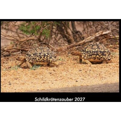 Becker Schildkrötenzauber 2027 Fotokalender DIN A3: Monatskalender mit Bild-Motiven von Haustieren, Bauernhof, wilden Tieren und Raubtieren Becker Schildkrötenzauber 2027 Fotokalender DIN A3: Monatskalender mit Bild-Motiven von Haustieren, Bauernhof, wilden Tieren und Raubtieren