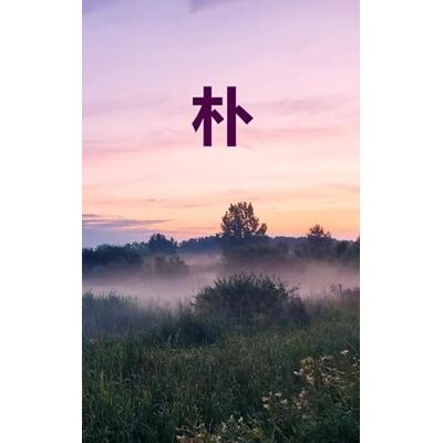 Roland Eenvoud: 朴 Roland Eenvoud: 朴