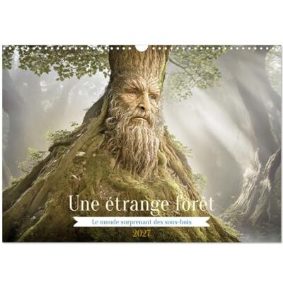 CALVENDO Une étrange forêt Le monde surprenant des sous-bois (Calendrier mural 2027 DIN A3 vertical), calendrier mensuel CALVENDO Une étrange forêt Le monde surprenant des sous-bois (Calendrier mural 2027 DIN A3 vertical), calendrier mensuel