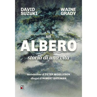 Suzuki Un albero. Storia di una vita. Ediz. illustrata (Fuoricollana) Suzuki Un albero. Storia di una vita. Ediz. illustrata (Fuoricollana)