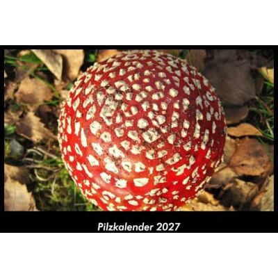 Becker Pilzkalender 2027 Fotokalender DIN A3: Monatskalender mit Bild-Motiven aus Fauna und Flora, Natur, Blumen und Pflanzen Becker Pilzkalender 2027 Fotokalender DIN A3: Monatskalender mit Bild-Motiven aus Fauna und Flora, Natur, Blumen und Pflanzen