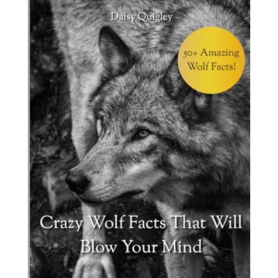 Daisy Tech Crazy Wolf Facts That Will Blow Your Mind Daisy Tech Crazy Wolf Facts That Will Blow Your Mind