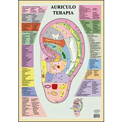 XXX Auriculo terapia XXX Auriculo terapia