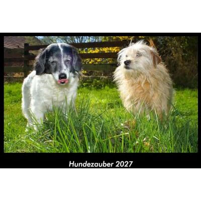 Becker Hundezauber 2027 Fotokalender DIN A3: Monatskalender mit Bild-Motiven von Haustieren, Bauernhof, wilden Tieren und Raubtieren Becker Hundezauber 2027 Fotokalender DIN A3: Monatskalender mit Bild-Motiven von Haustieren, Bauernhof, wilden Tieren und Raubtieren