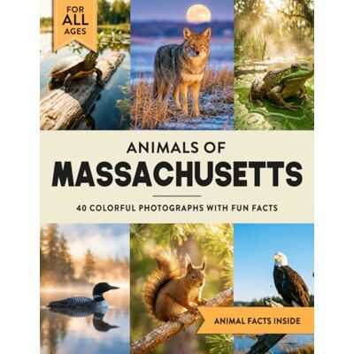 Marshall Animals of Massachusetts: Learn All About Bay State Wildlife in a Fun Fact Picture Book for Kids and Adults Marshall Animals of Massachusetts: Learn All About Bay State Wildlife in a Fun Fact Picture Book for Kids and Adults